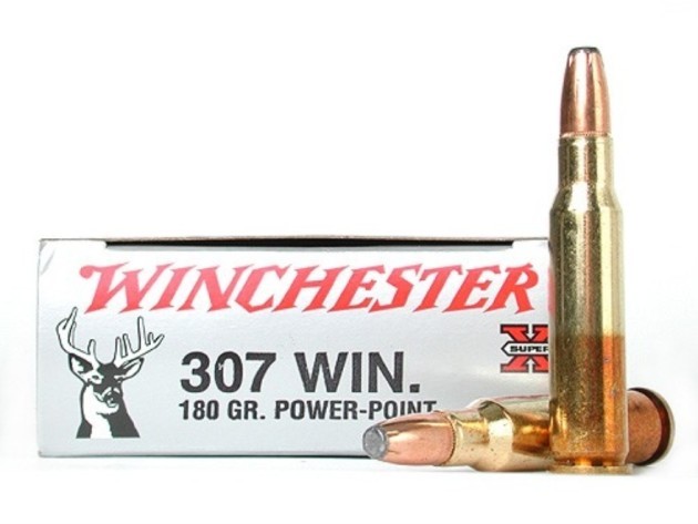 307 winch