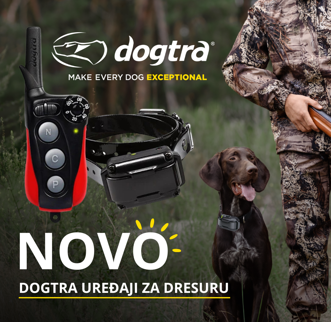 dogtra baner fanzoj